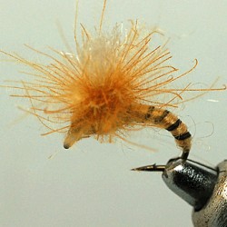 EMERGER RAM 32