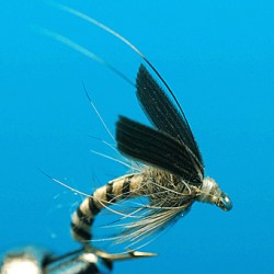 EMERGER RAM 40