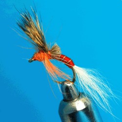 EMERGER RAM 88