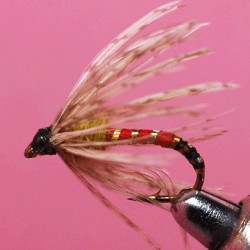 EMERGER RAM 55
