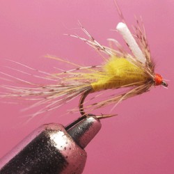 EMERGER RAM 63
