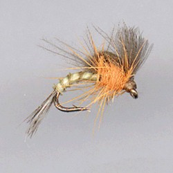 EMERGER RAM 87
