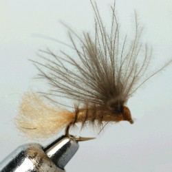 EMERGER RAM 72