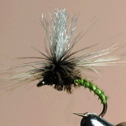 EMERGERPARA RAM 29