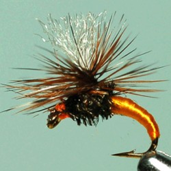 EMERGERPARA RAM 28