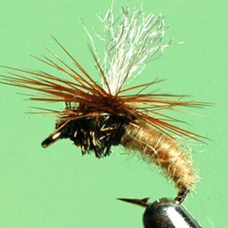 EMERGERPARA RAM 35