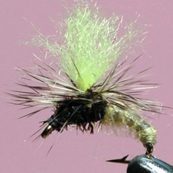 EMERGERPARA RAM 41