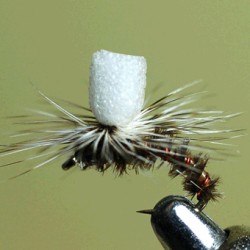 EMERGERPARA RAM 56