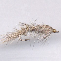 NYMPH RAM 1