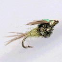 NYMPH RAM 3