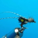 NYMPH RAM 10