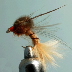 NYMPH RAM 14