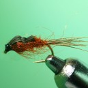 NYMPH RAM 26