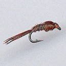 NYMPH RAM 29