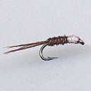 NYMPH RAM 31