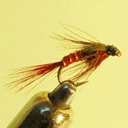 NYMPH RAM 34