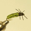NYMPH RAM 44