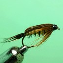 TELLICO NYMPH