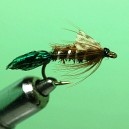 ZUG BUG