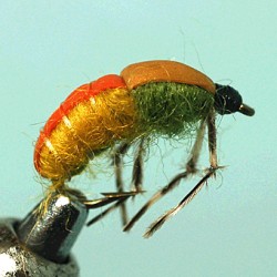 PLOMBEE RAM 6