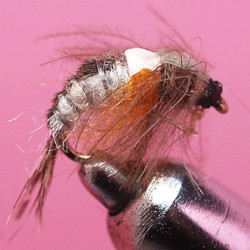 PLOMBEE RAM 17