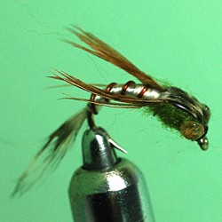 PLOMBEE RAM 20