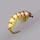 PLOMBEE RAM 37