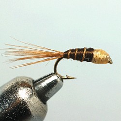 PLOMBEE RAM 56