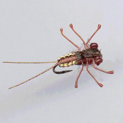 PLOMBEE RAM 61