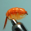 SCUD CREVETTE ORANGE