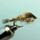 GOLD RIBBED HARES EAR