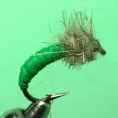 VER D'EAU VERT
