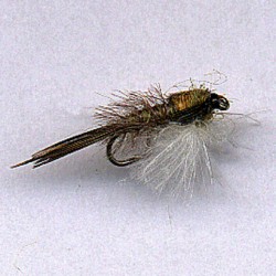 EMERGER RAM 2