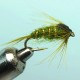 DAMSEL OLIVE