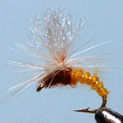 EMERGERPARA RAM 1