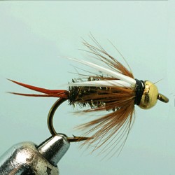 PRINCE NYMPH