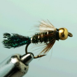 ZUG BUG