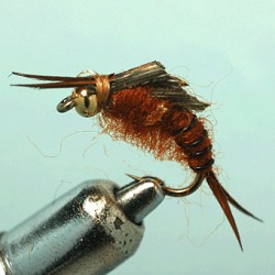 KAUFMANN STONE BROWN