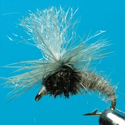 EMERGERPARA RAM 8