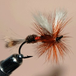 BOUCHON RAM 8