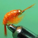 CREVETTE ORANGE TUNG