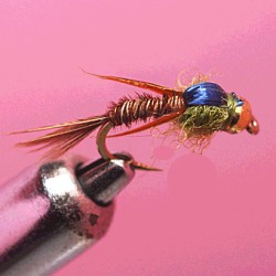 TUNG RAM 7 