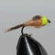 TUNG CASQ CHARTREUSE RAM 5