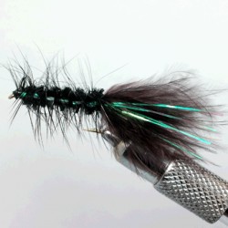 LEECH BLACK