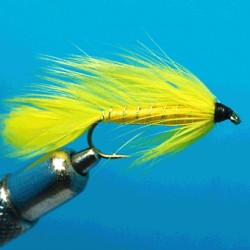 MATUKA YELLOW