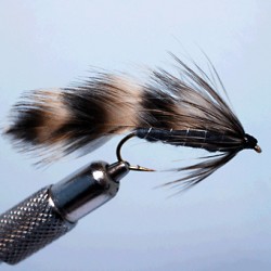 MATUKA GRIZZLY