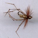 HOPPER CASQ OLIVE