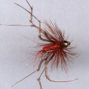 HOPPER CASQ RED