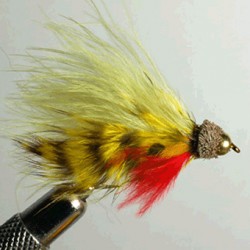 CASQUE DORE VAIRON