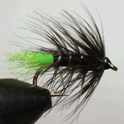 BUMBLE RAM 1